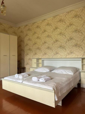 Guesthouse in Lankhvri